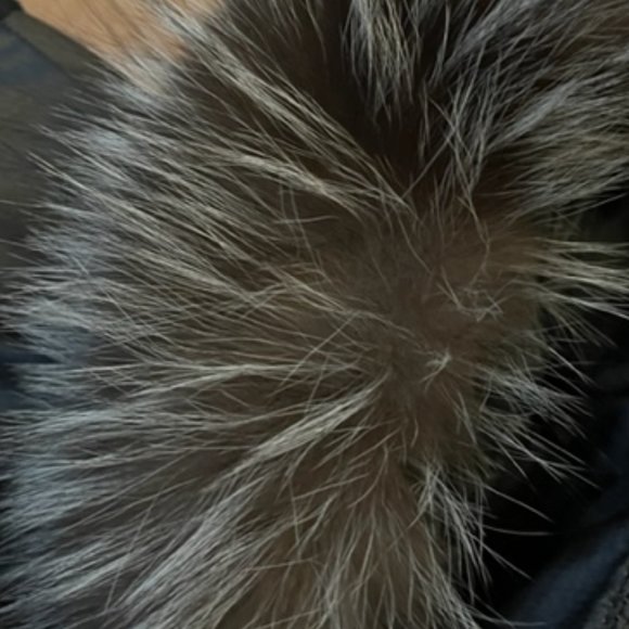 Gallery Petite Indigo fox - Picture 4 of 4